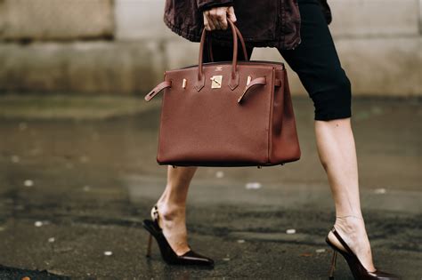 hermes birkin class action lawsuit|hermès targeted in lawsuit.